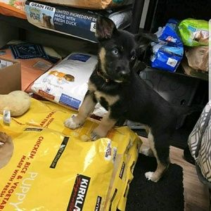 Meet your Posher, Emilio